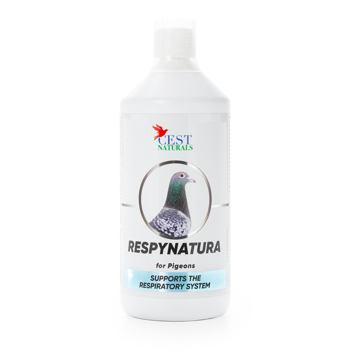 RESPYNATURA 1000 ml