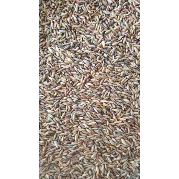 Pagima Green Seed 750gr