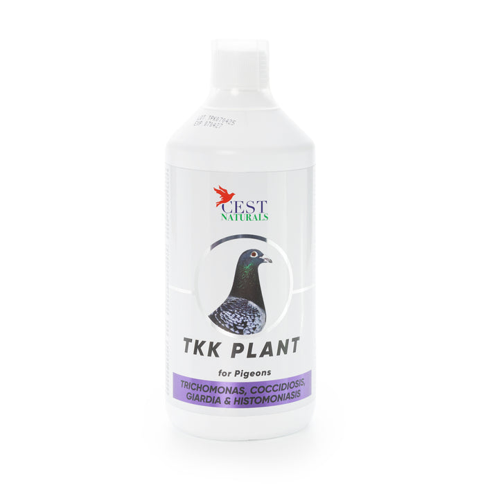 Cest TKK Plant - All natural solution for Pigeon diseases