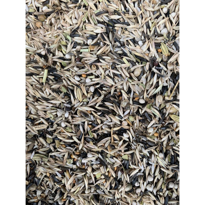 Siskin Seedmix with Herbs