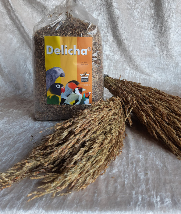 Delicha Grass Spray – 2 bunches