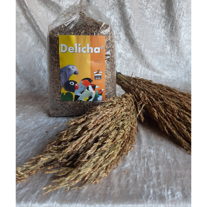 Delicha Grass Spray – 2 bunches