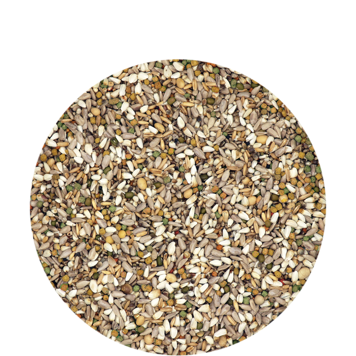 Versele-Laga Energy I.C. Plus 40 lb