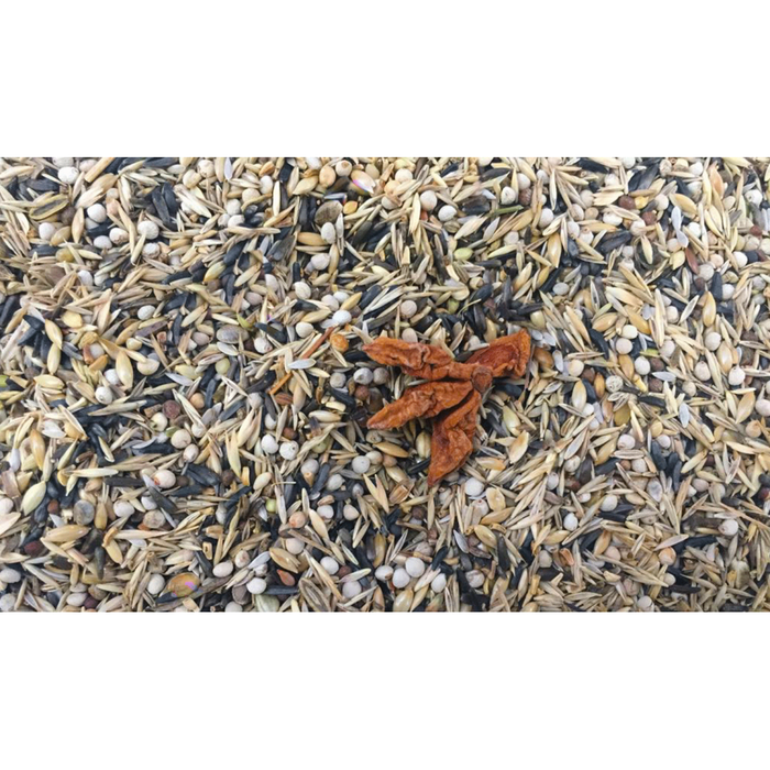 ELEVAGE- SISKIN SEED MIX