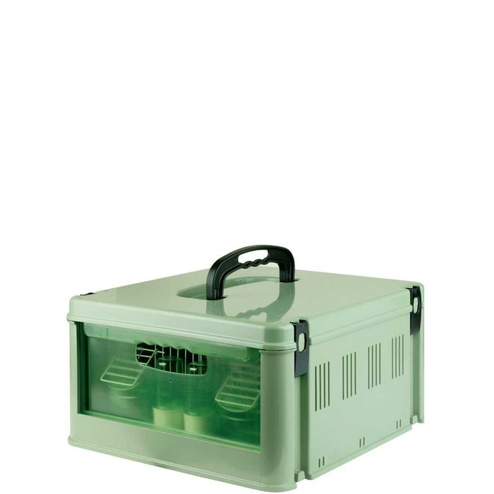 Transport box for small birds