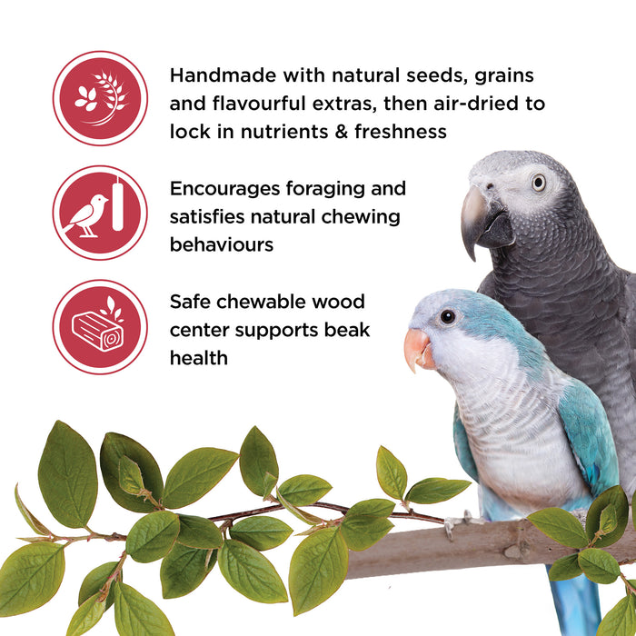 Parrot Treat Sticks - Living World Sticks - Fruit Melody - 2 pieces - 100 g (3.53 oz)