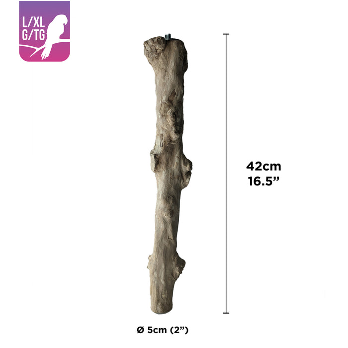 HARI Coffee Wood Bird Perch - Suitable for Large to Extra Large sized parrots - 42 cm (16.5 in)