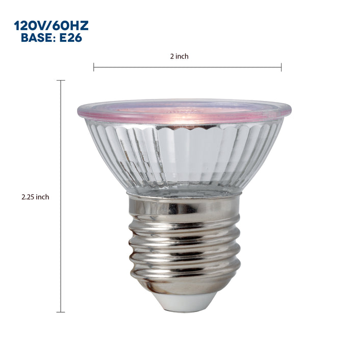 Vision Daylight LED 5 W