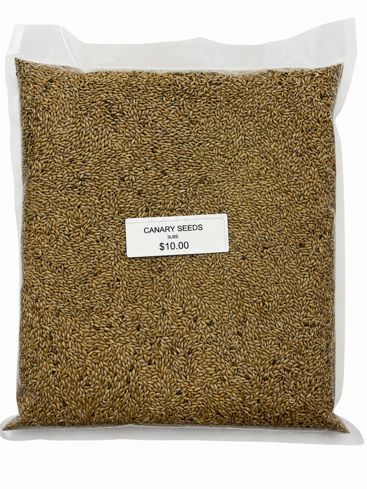 Plain Canary Seeds 3lbs