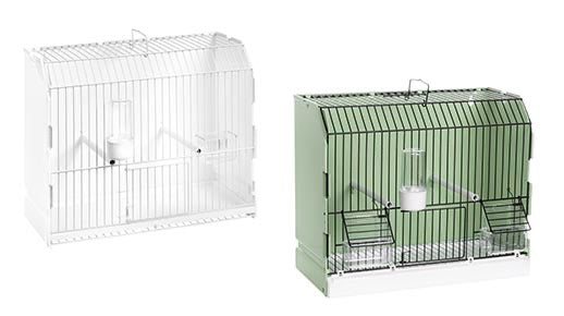 Show Cage-White or Green