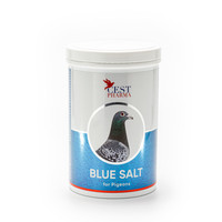 BLUE SALT 1kg/2.2lbs  High-quality