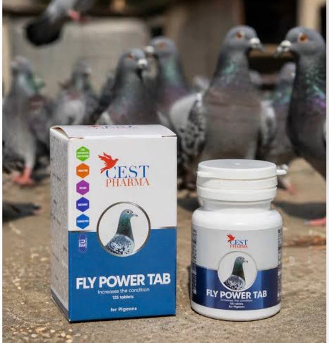 FLY POWER TABLETS 125