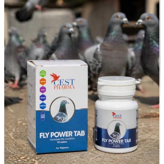FLY POWER TABLETS 125