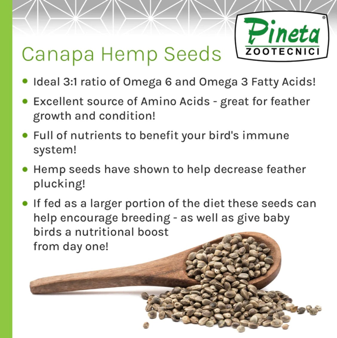 Facts about Hemp Seeds – Bonavita
