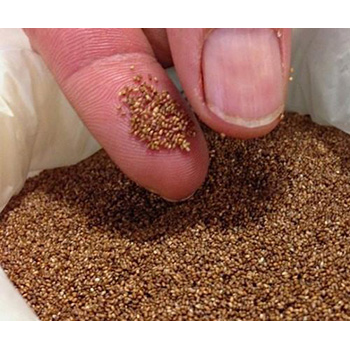Foniopaddy 1kg/2.2lbs