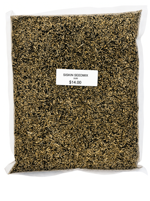 Elevage Siskin Mix
