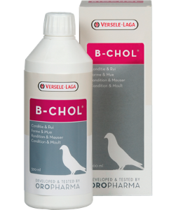 B-Chol - 500ml Plumage Growth Supplement