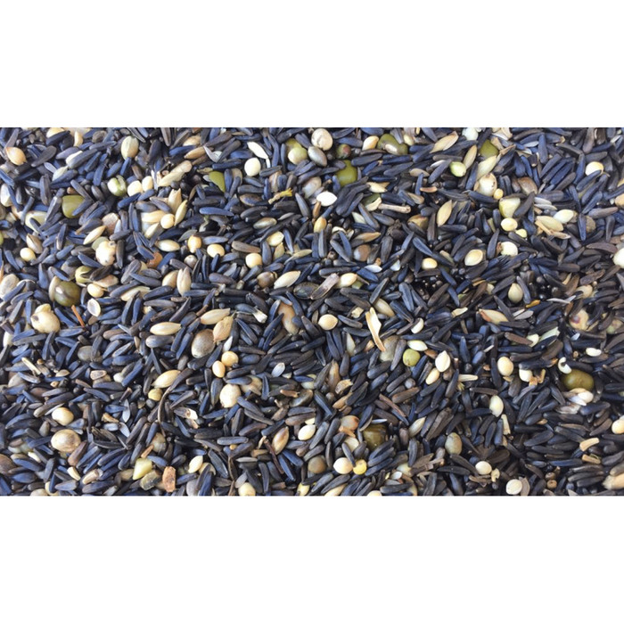 Elevage High Germination mix
