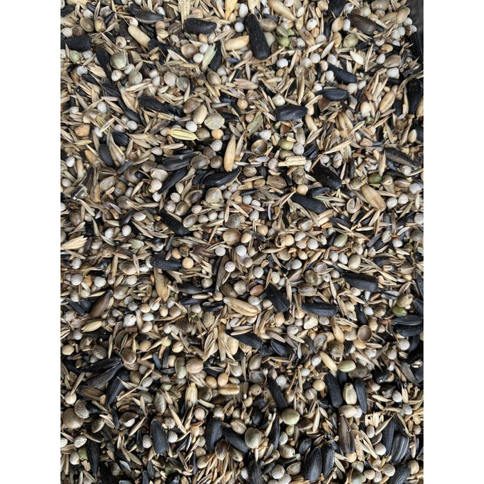 Elevage Goldfinches Breeding and Singing