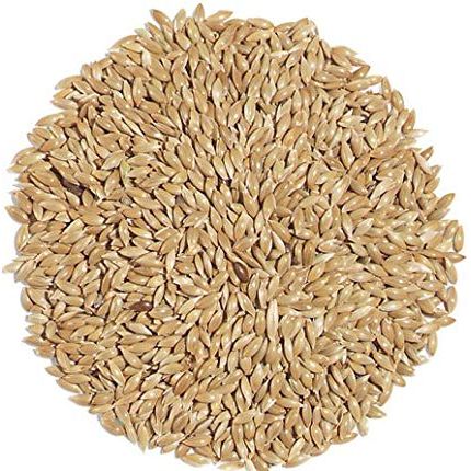Canary seeds plain 3lbs