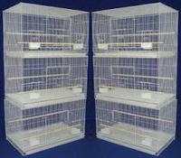 Breeder bird shop cages