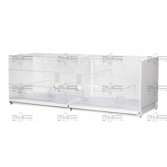 Italian Breeding Cage with Divider