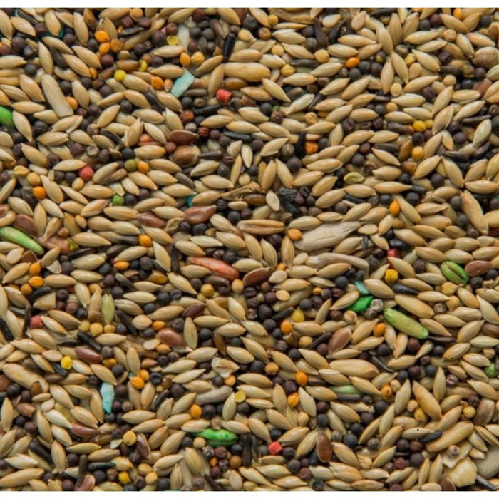 Moores Vita Canary Mix - 40lbs