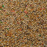 Vita Finch seed mix-40lbs bag