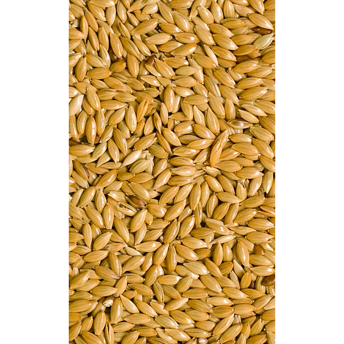 Canary seeds plain 3lbs