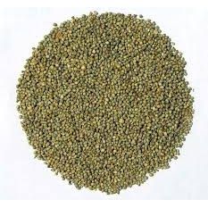 GREEN MILLET 3LBS
