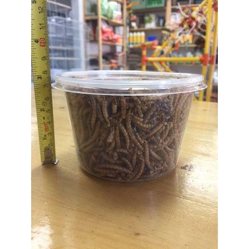 Dried Mealworms