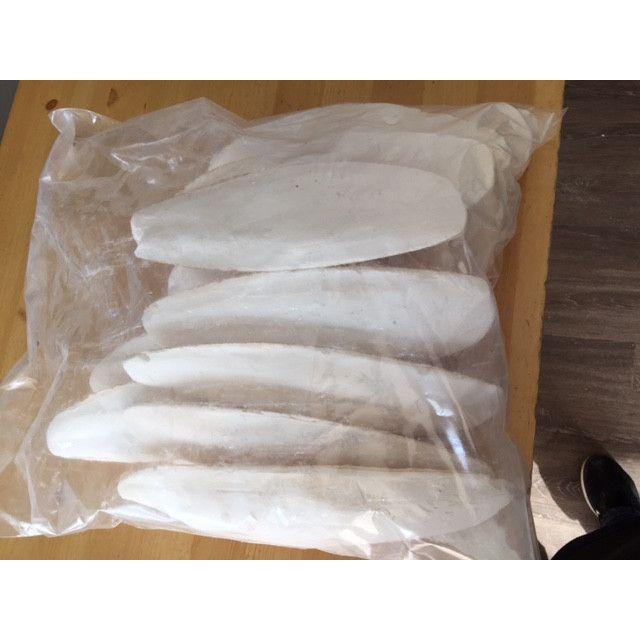 Cuttlebone 25cm Bulk Pack