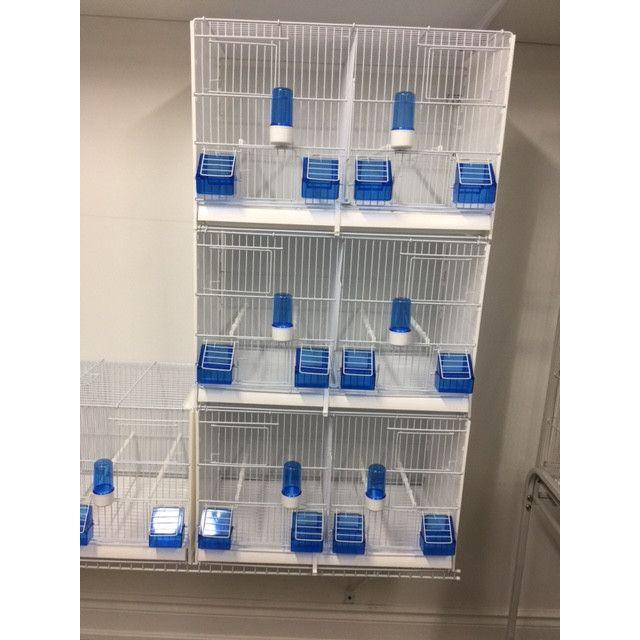 Italian Breeding Cage