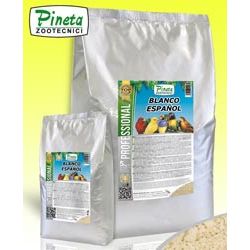 Pineta-Blanco Espanol